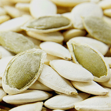 Chinese hot snow white pumpkin seed